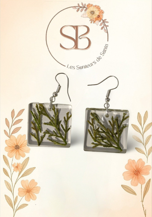 🌿 Boucles d’oreilles uniques en résine époxy et éléments naturels 🌿