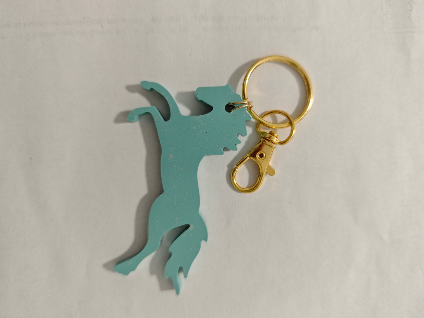 Portes clefs du Zodiaque