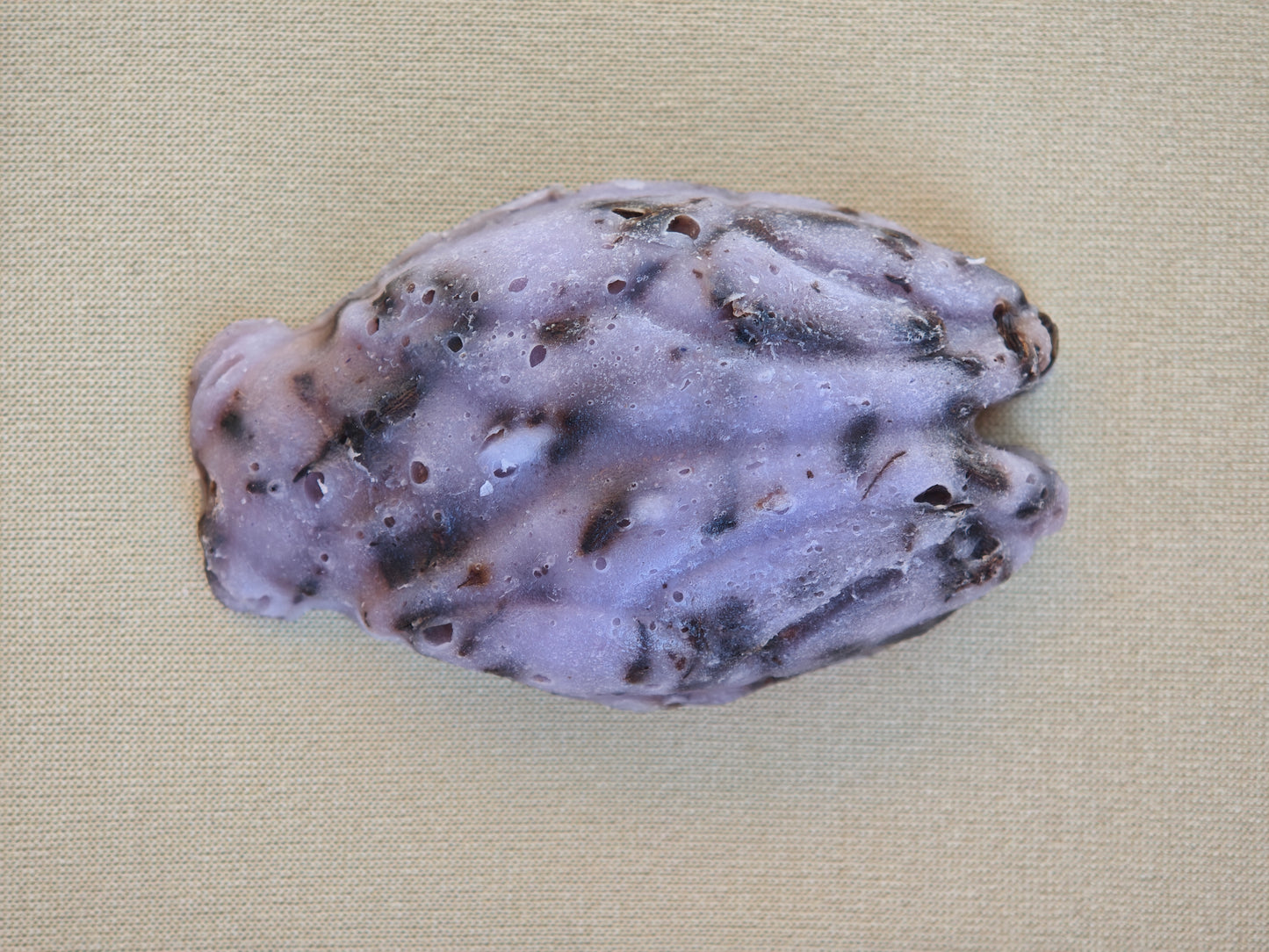 Savon Cigale