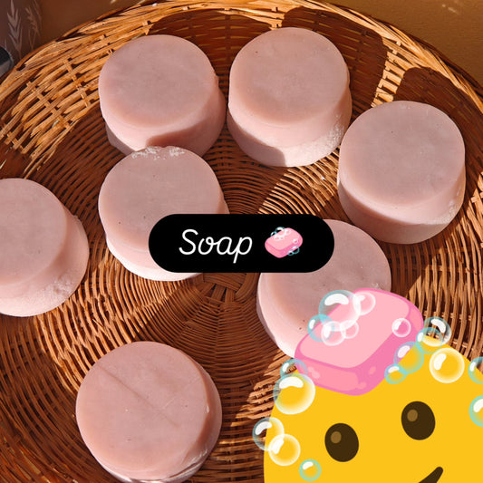 Mini Savon Double face Choco